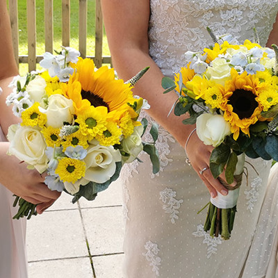 Sunflowers with Blue