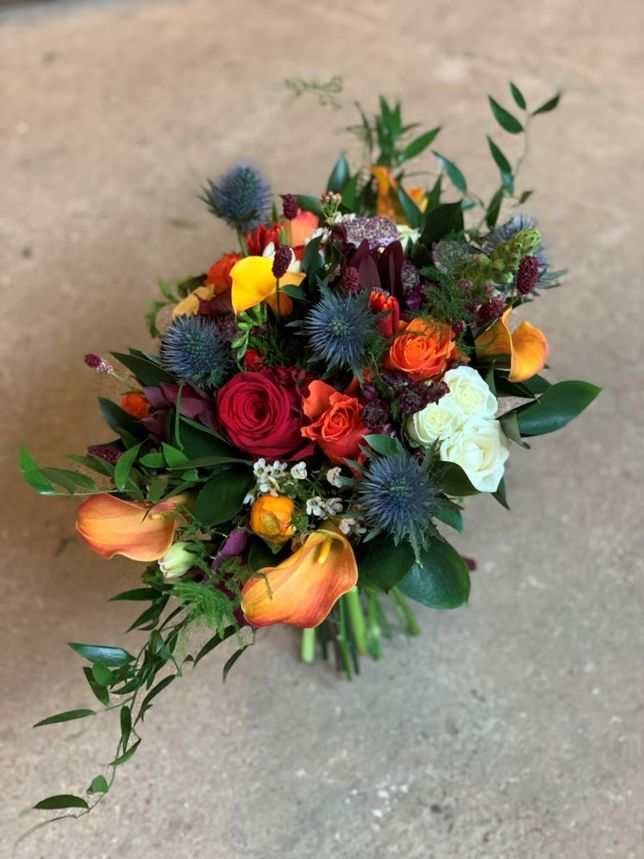 Long And Low Autumn Colours